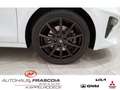 Kia Ceed SW / cee'd SW Vision 1.4 T-GDI Navi PDC Rückfahrkam. Apple CarPl Weiß - thumbnail 14