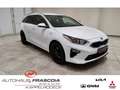 Kia Ceed SW / cee'd SW Vision 1.4 T-GDI Navi PDC Rückfahrkam. Apple CarPl Weiß - thumbnail 3