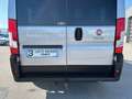 Fiat Ducato Panorama L1H1 TD 140PS Automatik 8 Sitze Gri - thumbnail 12