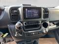 Fiat Ducato Panorama L1H1 TD 140PS Automatik 8 Sitze Gris - thumbnail 18