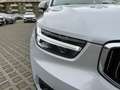 Volvo XC40 1.5 T5 plug-in-hybrid Inscription Expression auto Grigio - thumbnail 7