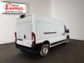 Opel Movano CARGO L3H2 Weiß - thumbnail 14