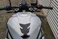 BMW S 1000 R | Comfort & Dynamic pakket | Schakelassistent Pro Grijs - thumbnail 8