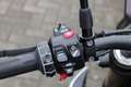 BMW S 1000 R | Comfort & Dynamic pakket | Schakelassistent Pro Grijs - thumbnail 3