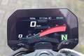 BMW S 1000 R | Comfort & Dynamic pakket | Schakelassistent Pro Grijs - thumbnail 4