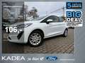 Ford Fiesta 1.1 Trend Radio|USB|SR+WR Bianco - thumbnail 1
