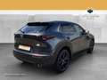 Mazda CX-30 2.0 SKYACTIV ACC*AUT*DynLicht*HUD*Kam.*LED Grau - thumbnail 6