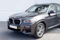 BMW X3 xDrive20i High Executive Gris - thumbnail 21