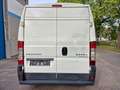 Peugeot Boxer HDi  AVANTAGE 6 Stück  Paketverkauf 12.000 - thumbnail 8