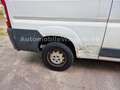 Peugeot Boxer HDi  AVANTAGE 6 Stück  Paketverkauf 12.000 - thumbnail 19