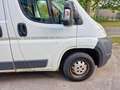 Peugeot Boxer HDi  AVANTAGE 6 Stück  Paketverkauf 12.000 - thumbnail 21