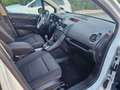 Opel Meriva Meriva 1.4 Turbo 120CV GPL Tech Cosmo Bianco - thumbnail 8