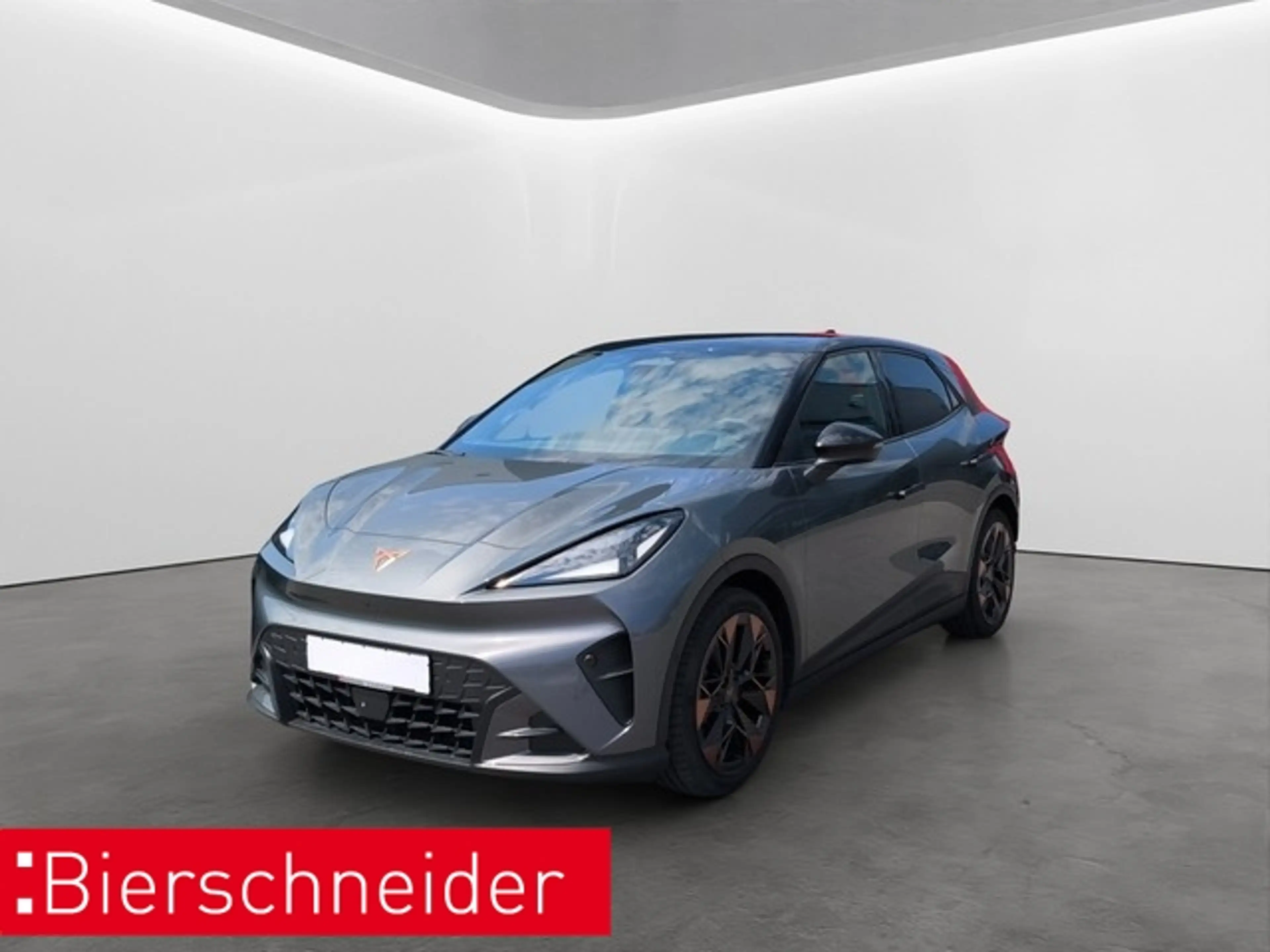 CUPRA Endurance Ed. Dynamic Plus Plasma 19 TOP NAVI SENN
