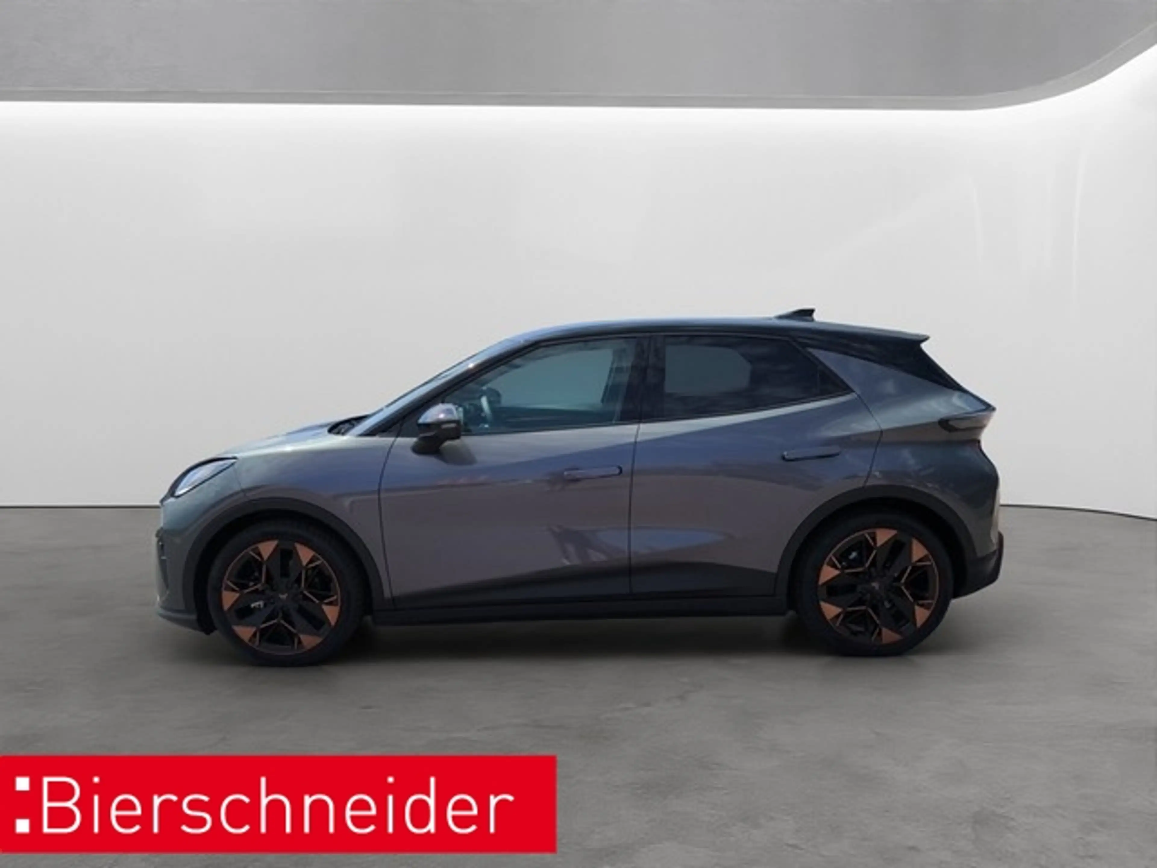 CUPRA Endurance Ed. Dynamic Plus Plasma 19 TOP NAVI SENN — photo 4