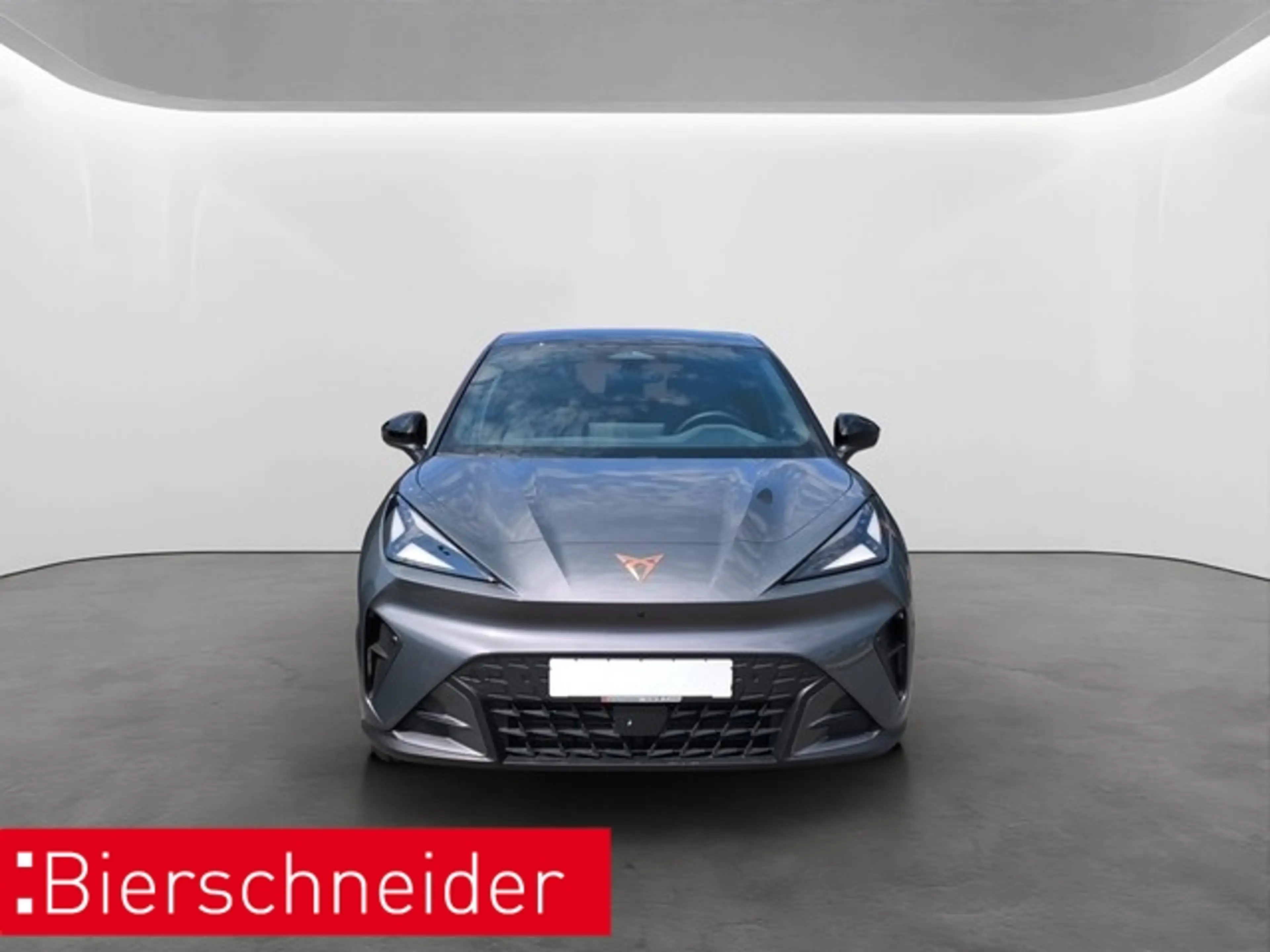 CUPRA Endurance Ed. Dynamic Plus Plasma 19 TOP NAVI SENN — photo 3