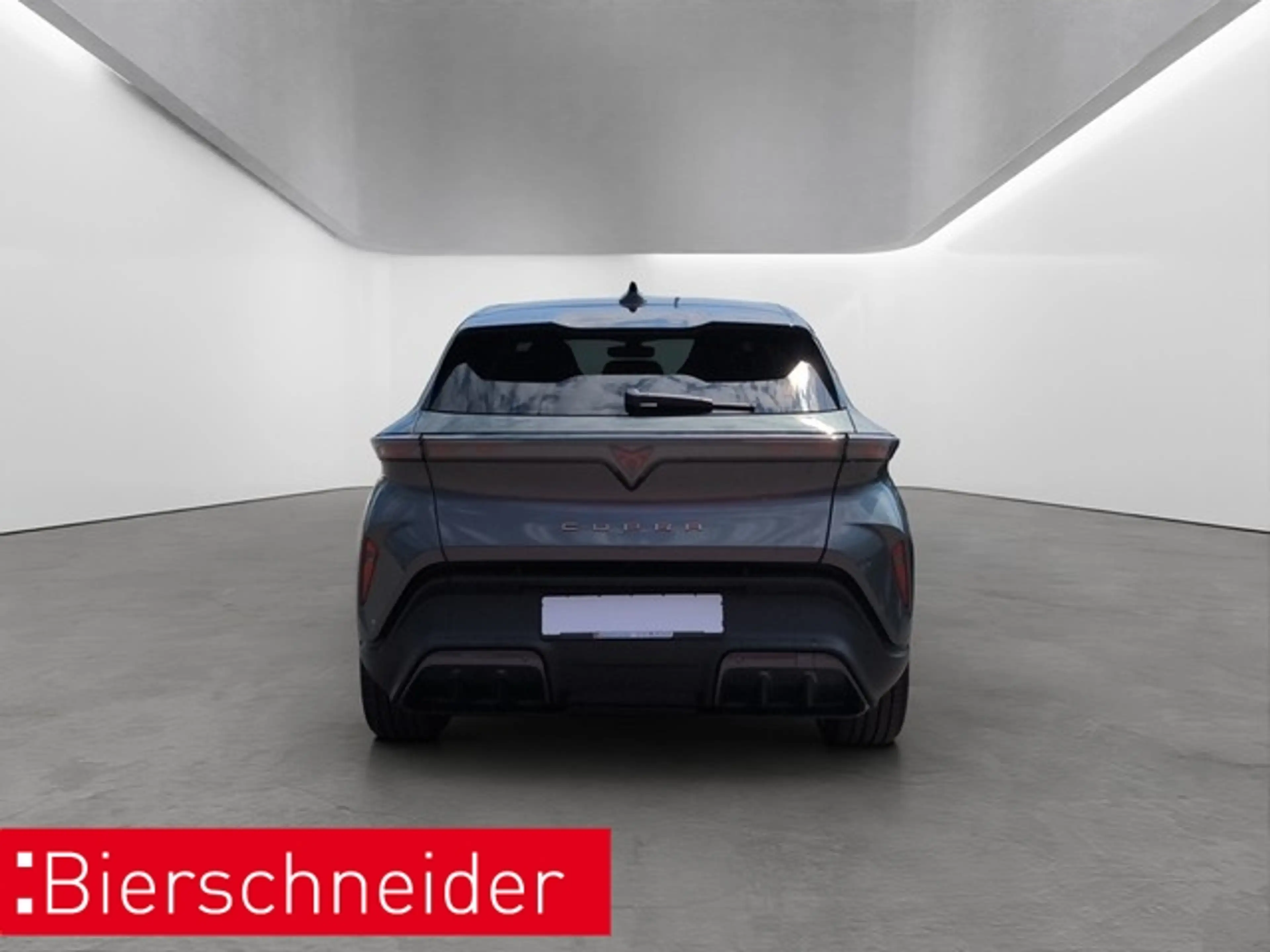 CUPRA Endurance Ed. Dynamic Plus Plasma 19 TOP NAVI SENN — photo 8