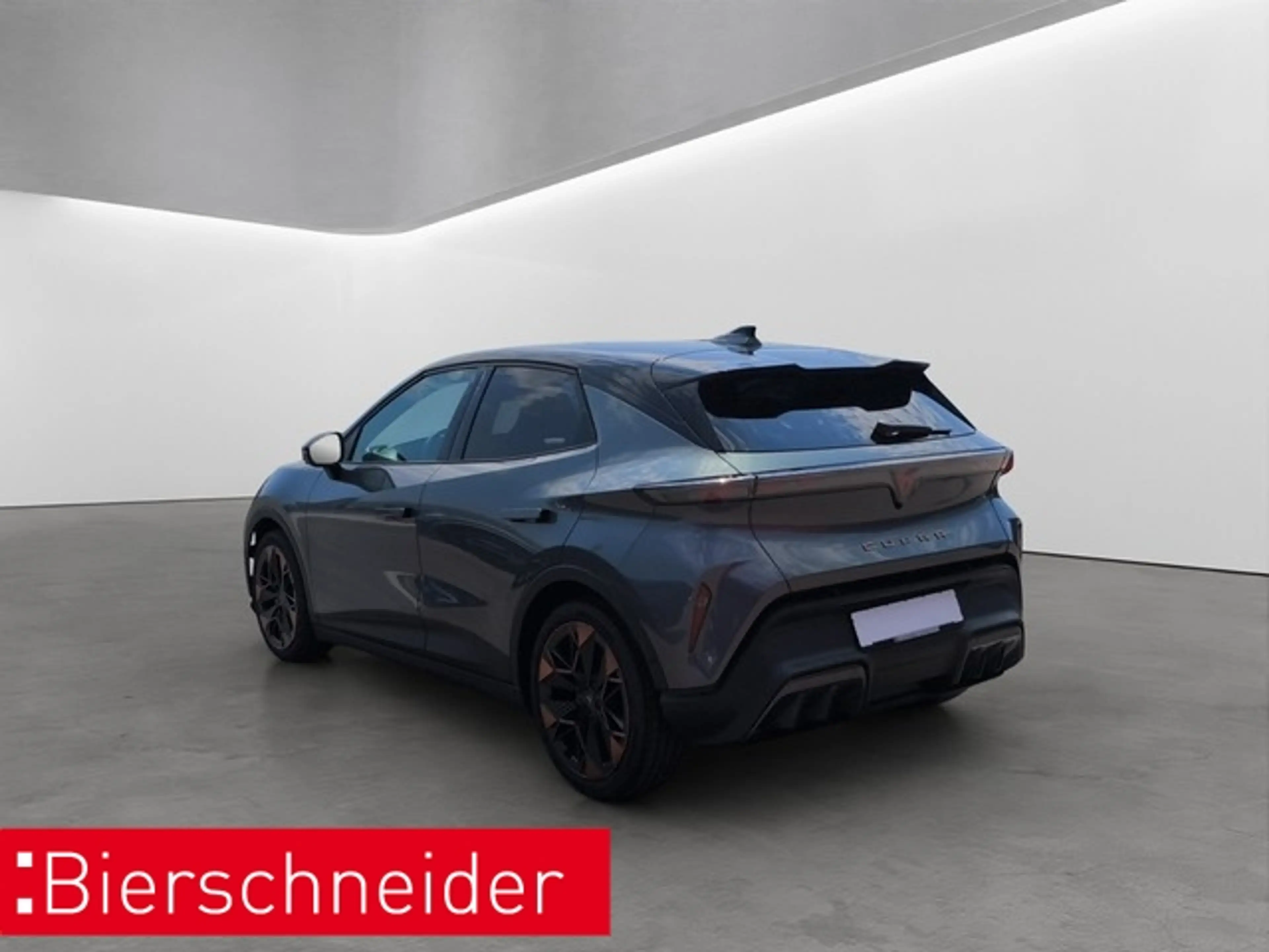 CUPRA Endurance Ed. Dynamic Plus Plasma 19 TOP NAVI SENN — photo 5