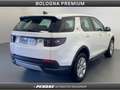Land Rover Discovery Sport 2.0D I4-L.Flw 150 CV AWD Auto Bianco - thumbnail 2