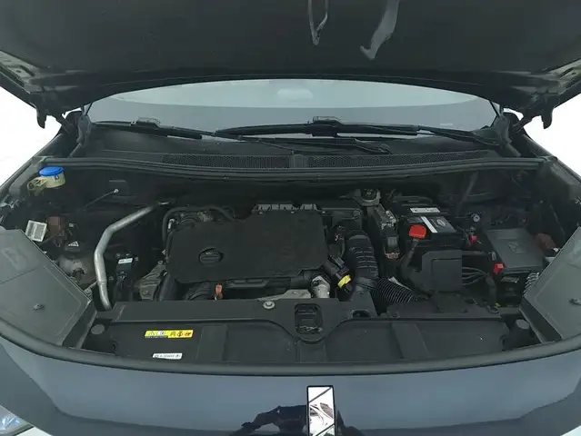 DS Automobiles DS 7 Crossback view 13