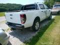 Ford Ranger 3,2 Wildtrak Automatik Blanco - thumbnail 6