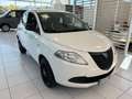 Lancia Ypsilon 0.9 TwinAir 85 CV 5 porte Metano Ecochic Elefantin Bianco - thumbnail 5