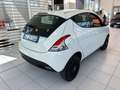 Lancia Ypsilon 0.9 TwinAir 85 CV 5 porte Metano Ecochic Elefantin Bianco - thumbnail 4