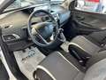 Lancia Ypsilon 0.9 TwinAir 85 CV 5 porte Metano Ecochic Elefantin Bianco - thumbnail 7