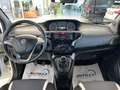 Lancia Ypsilon 0.9 TwinAir 85 CV 5 porte Metano Ecochic Elefantin Bianco - thumbnail 12