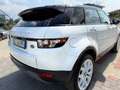 Land Rover Range Rover Evoque Range Rover Evoque 2.2 Sd4 5p. British Edition Dyn Wit - thumbnail 7