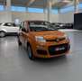 Fiat Panda Panda 1.2 easypower City Life Gpl s&s 69cv Arancione - thumbnail 7
