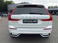 Volvo XC60 XC60 T6 TwinEngine AWD R Design Plug-In PANO|AHK Weiß - thumbnail 5