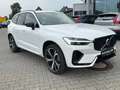 Volvo XC60 XC60 T6 TwinEngine AWD R Design Plug-In PANO|AHK Weiß - thumbnail 6