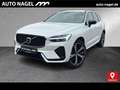 Volvo XC60 XC60 T6 TwinEngine AWD R Design Plug-In PANO|AHK Weiß - thumbnail 1