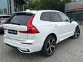 Volvo XC60 XC60 T6 TwinEngine AWD R Design Plug-In PANO|AHK Weiß - thumbnail 3