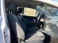 Ford Fiesta 1.4 Trend Automaat Airco Elek.Pakket Privacy Glass Wit - thumbnail 6
