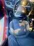 Alfa Romeo Giulietta 1.6JTD Super 120 - thumbnail 17