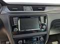 Skoda Rapid/Spaceback RAPID SPACEBACK 1.0 TSI CLEVER | SITZHEIZUNG | Verde - thumbnail 14
