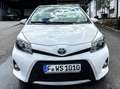 Toyota Yaris Yaris Hybrid 1.5 VVT-i Club Weiß - thumbnail 2