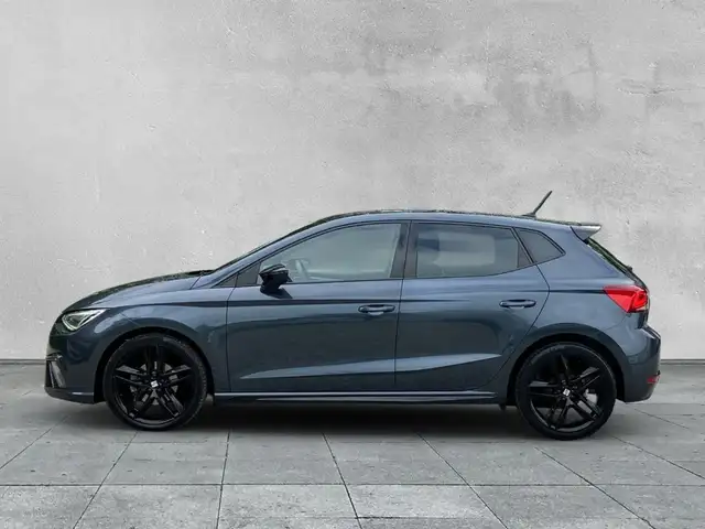 Seat Ibiza view 2