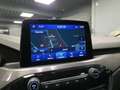Ford Kuga Kuga 2.0 EcoBlue mHEV - 150 4x2  Titanium Gris - thumbnail 18