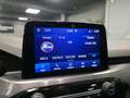 Ford Kuga Kuga 2.0 EcoBlue mHEV - 150 4x2  Titanium Gris - thumbnail 23