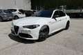 Alfa Romeo Giulia Giulia 2.0 Turbo 280 CV AT8 AWD Q4 Ti Bianco - thumbnail 1