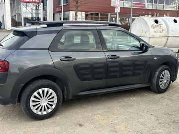 C4 Cactus Pure Tech 110 Stop