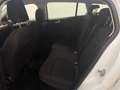 Ford Focus Turnier 1.5 EcoBlue Titanium Kamera/ACC/AHK/KeyLes Blanc - thumbnail 8