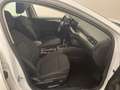 Ford Focus Turnier 1.5 EcoBlue Titanium Kamera/ACC/AHK/KeyLes Blanc - thumbnail 7