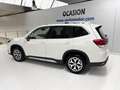 Subaru Forester 2.0i Hybrid Executive Plus CVT Blanc - thumbnail 2