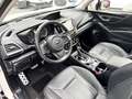Subaru Forester 2.0i Hybrid Executive Plus CVT Blanc - thumbnail 16