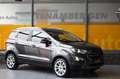Ford EcoSport Titanium Winter & Technikpaket B&O Grijs - thumbnail 1
