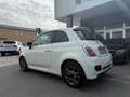Fiat 500 69cv EURO 6 / NEOPATENTATI / AUTOMATICO Bianco - thumbnail 6