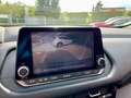 Nissan Qashqai 1.3 mhev Business 2wd 158cv Xtronic Grau - thumbnail 11